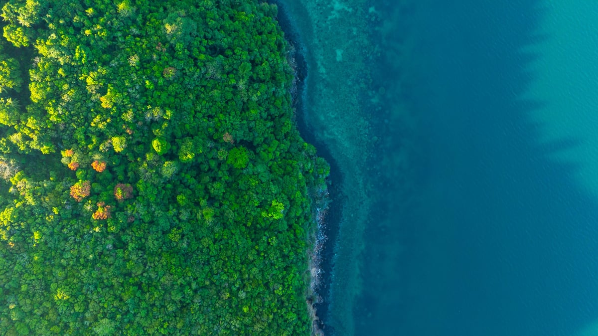 Aerial view of dense green rainforest canopy meeting a rocky coastline and the deep blue ocean